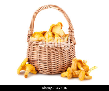 Chanterelles en panier Banque D'Images