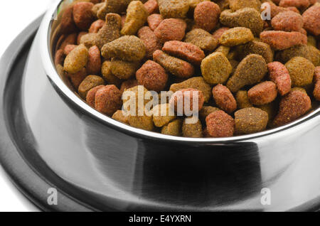 Close up d'aliments pour animaux de compagnie en bol en métal Banque D'Images