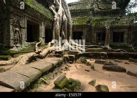 Ta Prohm Temple. Ta Prohm son état de ruine est un état de la beauté, qui est étudié avec délice et quitté avec regret. Ta Pro Banque D'Images