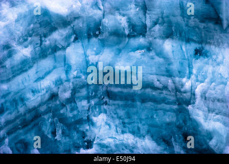 Samarin Glacier avec la mouette tridactyle Banque D'Images