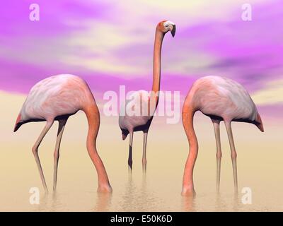 Flamants Roses dans l'eau - 3D render Banque D'Images