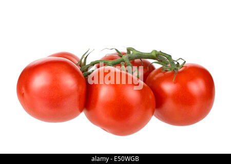 Tomates, vigne, tomate, entier frais Banque D'Images