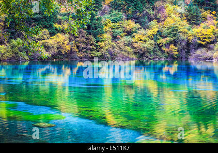 Le lac pittoresque dans la vallée de Jiuzhaigou Banque D'Images