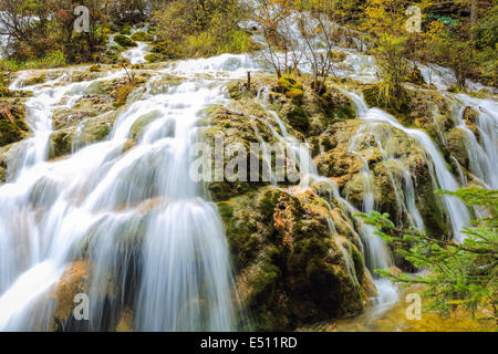 Cascade et ruisseau dans la forêt Banque D'Images