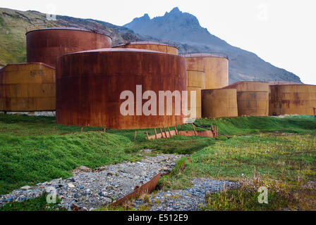 Base de baleiniers Grytviken, Géorgie du Sud Banque D'Images