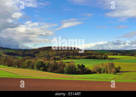 Paysage de champs en Allemagne, Banque D'Images