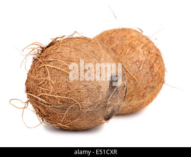 Deux noix de coco mûre brun Banque D'Images