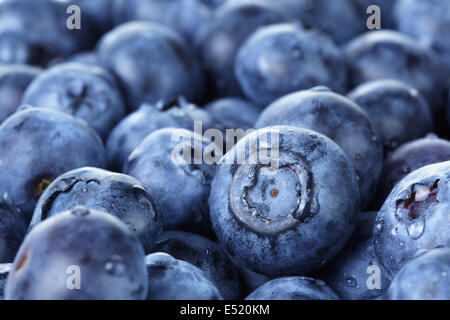 Bleuets fraîchement lavé la photo en gros, l'alimentation biologique Banque D'Images
