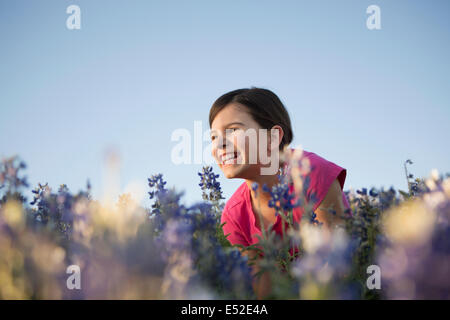 Une jeune fille assise dans un champ de hautes herbes et fleurs sauvages bleues. Banque D'Images