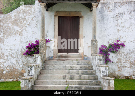 Étapes suivantes jusqu'à la porte de la chambre d'un mauve à fleurs de bougainvilliers. Banque D'Images