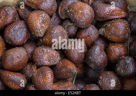 Bali, Indonésie. Snake Fruit, Salak. Banque D'Images