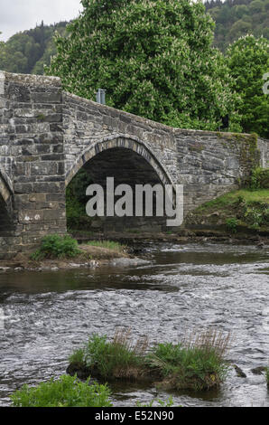 Pont Fawr, Llanwrst, au nord du Pays de Galles Banque D'Images