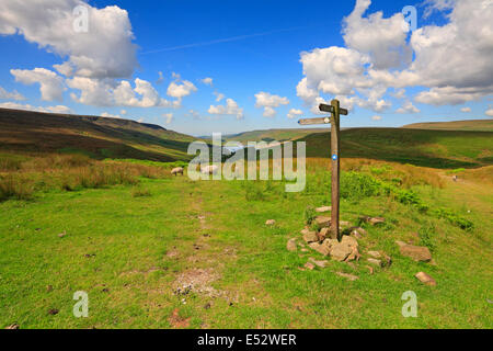 Trans Pennine Trail waymarker et lointain Réservoir à Longdendale Woodhead, Derbyshire Peak District National Park, Angleterre, Royaume-Uni. Banque D'Images