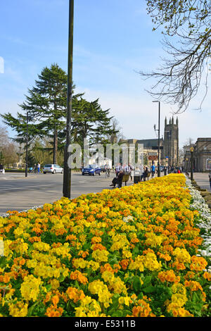 Fleurs de Printemps, la Parade, Royal Leamington Spa, Warwickshire, Angleterre, Royaume-Uni Banque D'Images