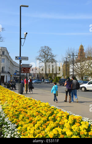 Fleurs de Printemps, la Parade, Royal Leamington Spa, Warwickshire, Angleterre, Royaume-Uni Banque D'Images