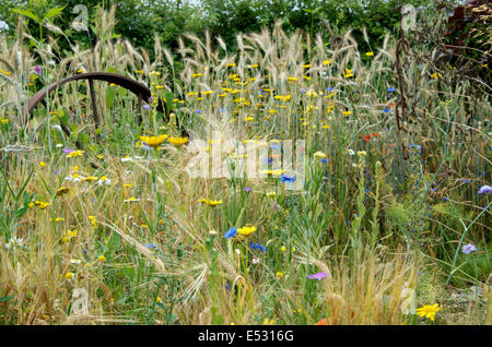 Ancienne jante métallique dans un champ de fleurs sauvages Banque D'Images