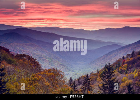 L'aube dans les Smoky Mountains National Park, California, USA. Banque D'Images