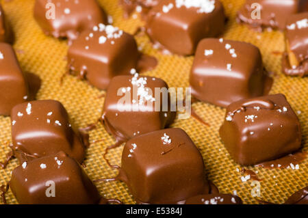 Bonbons au caramel enrobés de chocolat avec sel de mer garnir Banque D'Images