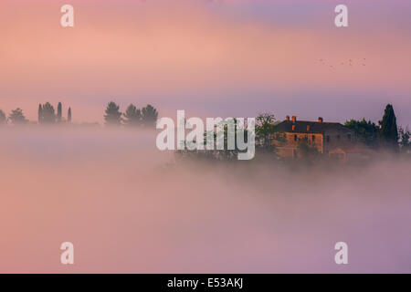 Célèbre Podere Belvedere dans la lumière du matin, au cœur de la Toscane, près de San Quirico in de Val d'Orcia Banque D'Images