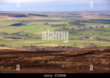 À l'échelle de l'eau du diable sur la lande de bruyère bien au-dessus des transporteurs Blanchland, Northumberland Banque D'Images