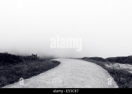 Road to nowhere en noir et blanc Banque D'Images