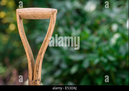 Close up of old, bien utilisés, poignée en bois appartenant à une bêche. Banque D'Images