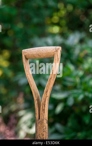 Close up of old, bien utilisés, poignée en bois appartenant à une bêche. Banque D'Images