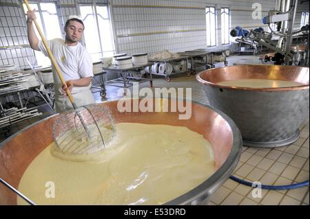 Trescore Cremasco (Cremona, Italie) ; production de Grana Padano DOP fromage typique italien Banque D'Images