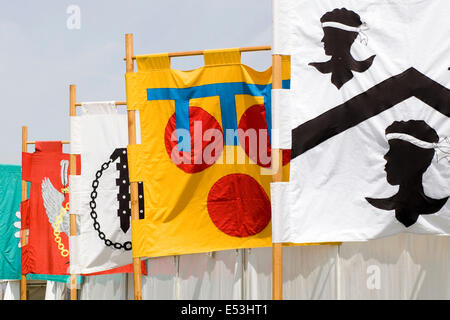 Drapeaux de combat à la fête médiévale à Tewkesbury Banque D'Images