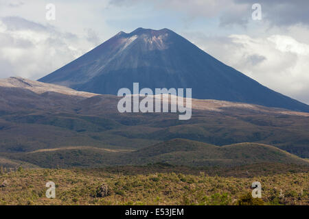 Les plaines, en face du Mont Ngauruhoe Banque D'Images