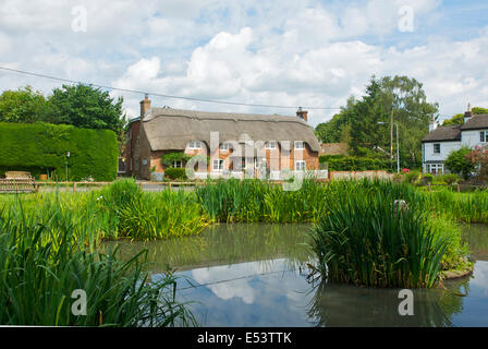 Chaumière et canard étang dans le village de Oakley, Hampshire, England UK Banque D'Images