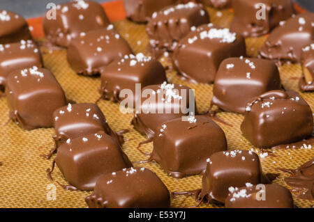 Bonbons au caramel enrobés de chocolat avec sel de mer garnir Banque D'Images