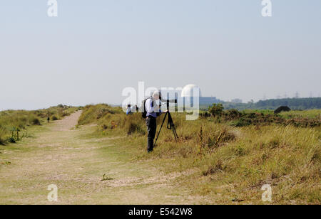 Suffolk Minsmere UK Juillet 2014 - Observateur avec portée sur un trépied à la réserve RSPB Minsmere avec la centrale nucléaire de Sizewell B à distance Banque D'Images