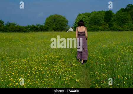 La femme marche à travers champ buttercup Banque D'Images