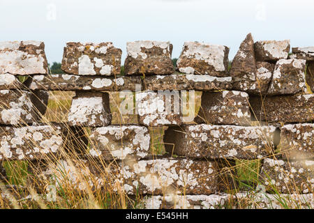 Vieux Mur de pierre dans le pré Banque D'Images