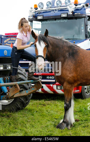 East Kilbride, Ecosse, Royaume-Uni. 20 juillet, 2014. Le Musée écossais de la vie rurale dans la région de East Kilbride près de Glasgow tient son assemblée Concours de chevaux lourds avec plus de 150 concurrents ont pris part. Les chevaux Clydesdale sont désormais conservés principalement comme animaux de compagnie ou pour le spectacle, mais certains sont encore utilisés pour tirer des chariots et des charrettes pour les touristes et le plaisir. L'image est de Laura Smith, 15 ans, à partir de la Erskine Bridge près de Glasgow, sa toilette cheval Clydesdale, Mary Rose un enfant de 3 ans, prêt pour l'affichage. Credit : Findlay/Alamy Live News Banque D'Images