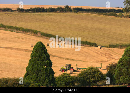 Paysage agricole du soir près de Stoke Dry Rutland Vue du réservoir d'Eyebrook UK Banque D'Images