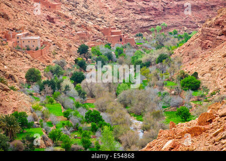 Ancienne vieille greniers,stockage de céréales,objets,alimentation,village,l'Ounila oasis luxuriante,palmeraires,agriculture,lit,Maroc Banque D'Images