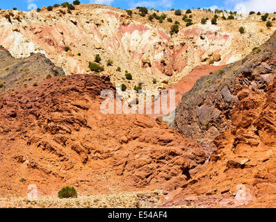 Kasbah anemiter, Asif ounila,près de aci bennhaddou,vallées fertiles vert, l'agriculture,noyer,pêchers en fleurs,Maroc Banque D'Images