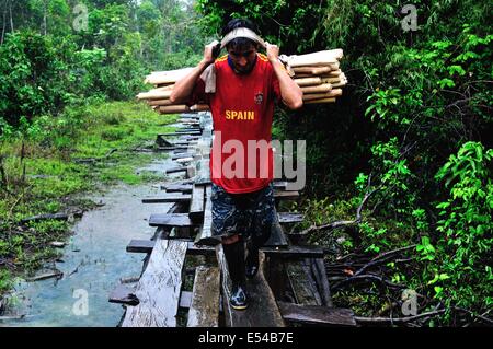 Pont traditionnel en PANGUANA . Département de Loreto .PÉROU Banque D'Images