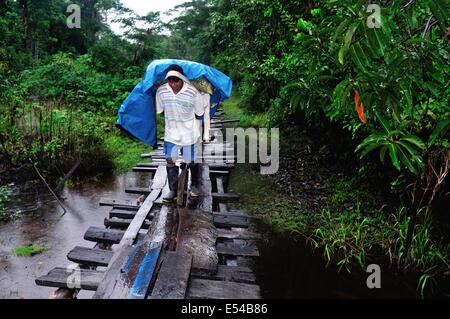 Pont traditionnel en PANGUANA . Département de Loreto .PÉROU Banque D'Images