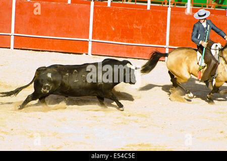 MADRID, ESPAGNE - 10 SEPTEMBRE : torero à cheval, corrida. 10 septembre 2010 à Madrid (Espagne) Banque D'Images