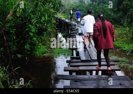 Pont traditionnel en PANGUANA . Département de Loreto .PÉROU Banque D'Images