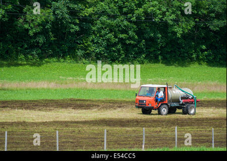 Un agriculteur Suisse diffusion muck sur son foin. Banque D'Images