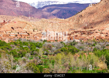 Kasbah anemiter, Asif ounila,près de aci bennhaddou,vallées fertiles vert, l'agriculture,noyer,pêchers en fleurs,Maroc Banque D'Images