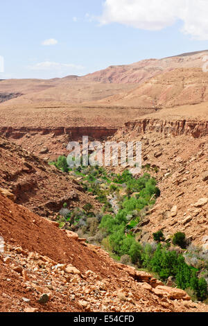 Ancienne vieille greniers,stockage de céréales,objets,alimentation,village,l'Ounila oasis luxuriante,palmeraires,agriculture,lit,Maroc Banque D'Images