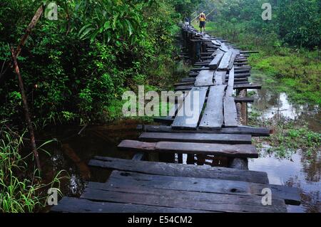 Pont traditionnel en PANGUANA . Département de Loreto .PÉROU Banque D'Images