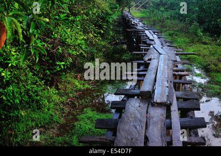 Pont traditionnel en PANGUANA . Département de Loreto .PÉROU Banque D'Images