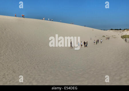 Leba, Pologne. 20, juillet 2014. Déménagement dunes de sable dans le Parc National de Slowinski entre Leba et Gdansk au nord de la Pologne à la côte de la mer Baltique. Comme les vagues et le vent transportent le sable des dunes intérieures déplacer lentement, à une vitesse de 3 à 10 mètres par an. Certaines dunes sont très élevés - jusqu'à 30 mètres. Le déplacement des dunes sont considérés comme une curiosité de la nature à l'échelle européenne. Credit : Michal Fludra/Alamy Live News Banque D'Images