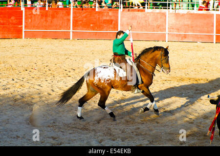 Corrida à cheval. Corrida espagnole typique. Banque D'Images